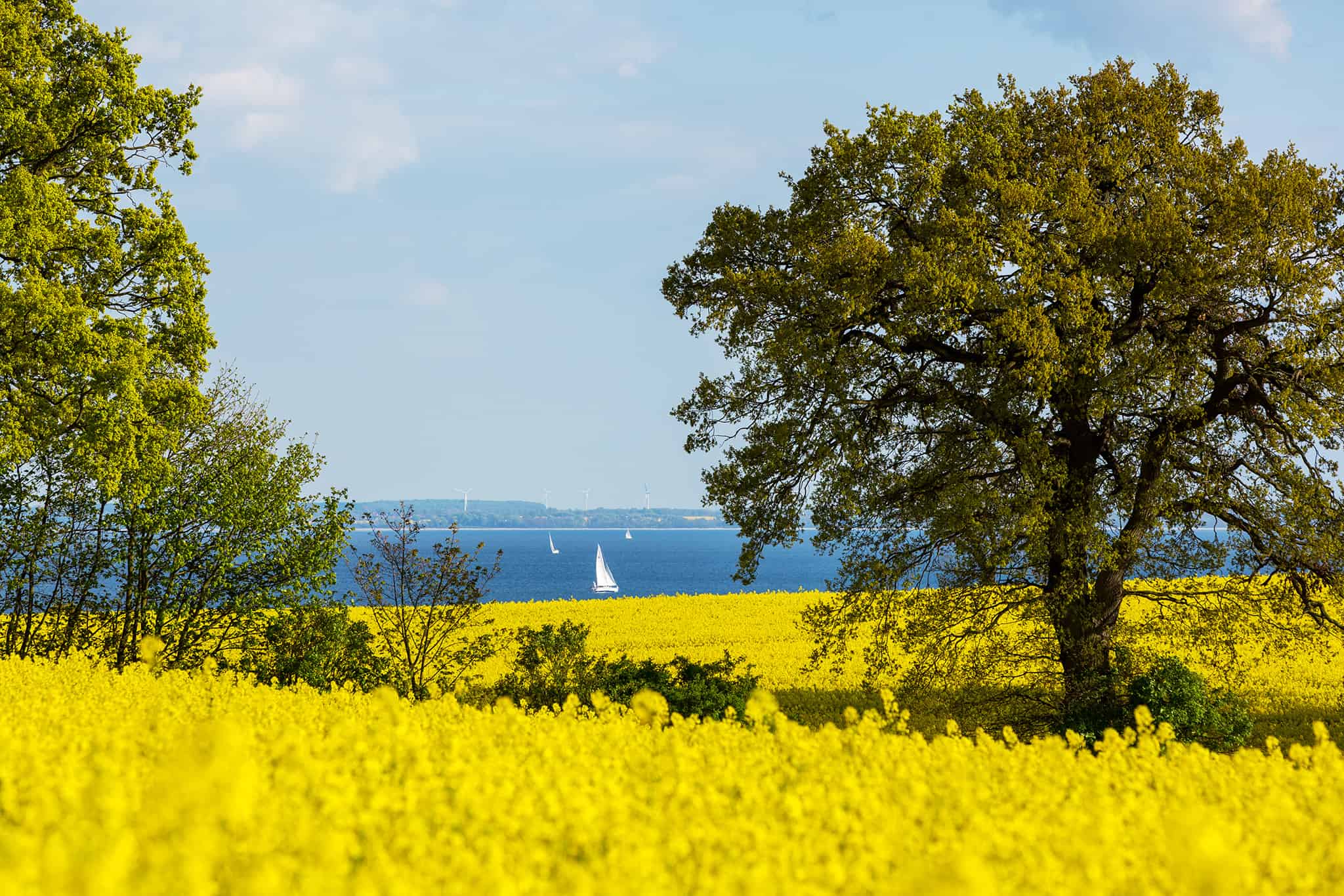 Wellnessbereich Alexa Hotel